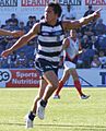 Mathew Stokes playing for Geelong