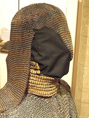 Mughal mail head defense, Lahore, 1800s - Higgins Armory Museum - DSC05548