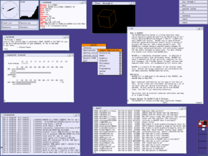NetBSD 10.1 sparc64 ctwm screenshot.png