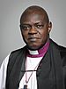 Official portrait of The Lord Archbishop of York crop 2.jpg