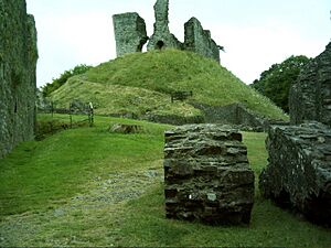 Okehampton Castle 'motte' - geograph.org.uk - 30632