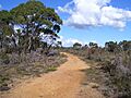 Onkaparinga NP track