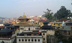 Pashupatinath Temple, UNESCO World Heritage Site