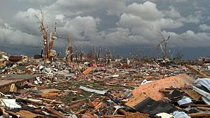 Photograph showing the damage to houses and trees in Washington following the 11-17-2013 tornado