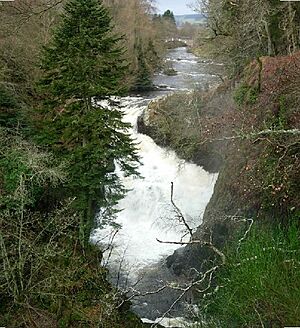 Reekie Linn - geograph.org.uk - 106105