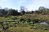 River Purwell in Purwell Meadows 5.JPG