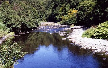 River Roe flowing through The Roe Valley Country Park, Limavady. - geograph.org.uk - 542102.jpg