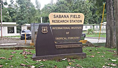 Sabana Field Research Station, Luquillo, Puerto Rico