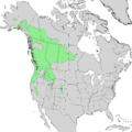 Salix scouleriana range map 1