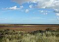 Saltfleetby National Nature Reserve - geograph.org.uk - 1038303