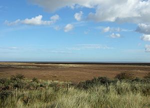 Saltfleetby National Nature Reserve - geograph.org.uk - 1038303.jpg