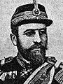 Sava Grujic crop