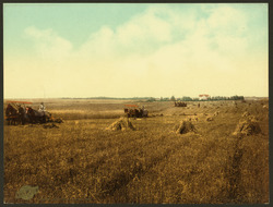 South Dakota harvest field-LCCN2008678244