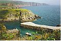 Stackpole Quay and Cliffs. - geograph.org.uk - 113105
