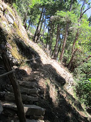 Stairway to Heaven, Tapovan Peace Park, Galiano Island