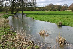 The River Dorn near Buswell's Thicket - geograph.org.uk - 358709