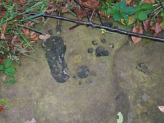 Tracks at Barnesville Petroglyph.JPG