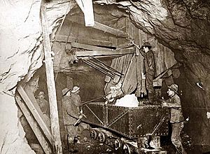 Treadwell Miners