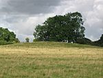 Bowl barrow 450m north west of St Guthlac's Church
