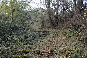 Upware South Pit 5