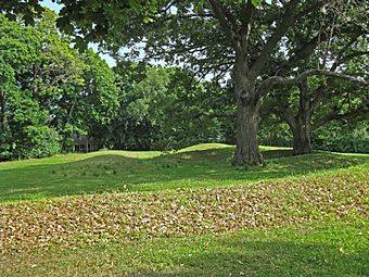 Vilas Park Mound Group.jpg