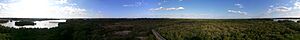 Weedon Island Preserve 360 Degree Panorama from Observation Tower