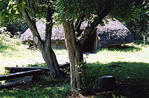 Circular thatched building seen through trees