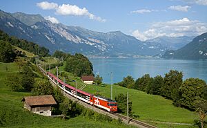 ZB Interregio mit HGe 101 bei Niederried