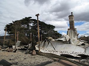 09 vic bushfire damage Steels Creek 01