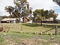 1780 - Binnawee Homestead and Outbuildings, Mudgee. View of outbuildings from homestead. (5053370b5)