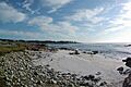 17 Mile Drive photo D Ramey Logan