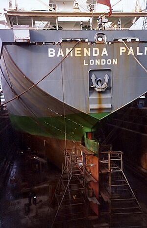 1984 Lloyd Rio from Bamenda Palm conversion