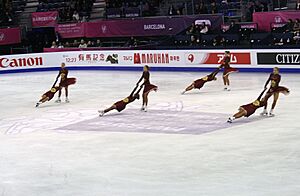 2015 Grand Prix of Figure Skating Final Team Suprise IMG 9105