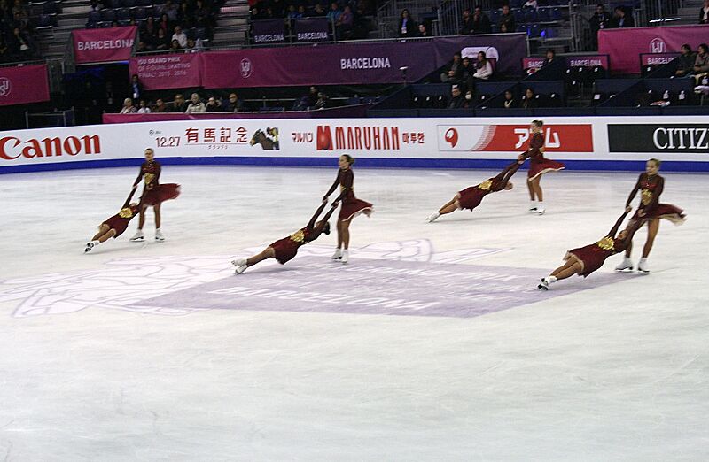 2015 Grand Prix of Figure Skating Final Team Suprise IMG 9105