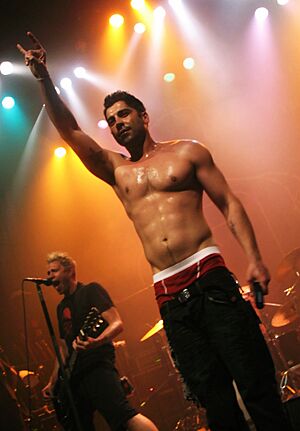Ali Tabatabaee - Zebrahead