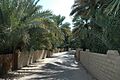 Alley in Al Ain Oasis