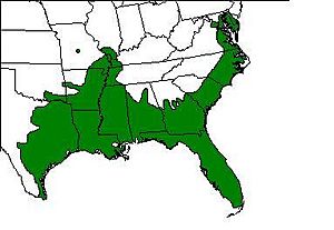 American green tree frog range map.JPG