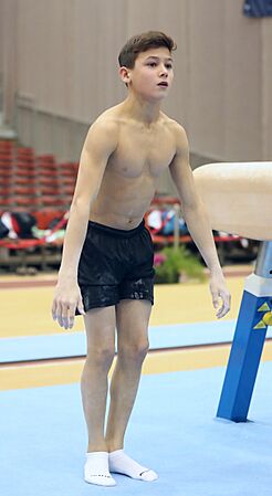 Austrian Future Cup 2018-11-23 Training Afternoon Pommel horse (Martin Rulsch) 332