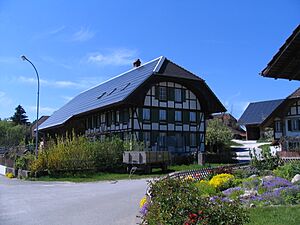 Büren zum Hof - alte Häuser