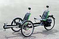 BamBuk Trike Tandem1