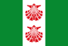 Flag of Espinosa del Camino