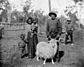 Beautiful Angora billy goat and goat herd from Barambah Aboriginal Settlement, Queensland, 1912 (17317337705)