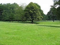 Buile Hill Park - geograph.org.uk - 1380984
