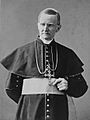 Cardinal McCloskey Napoleon Sarony