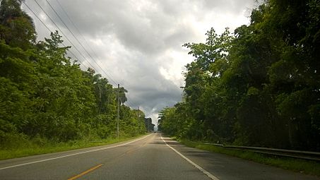 Carretera PR-149, Manatí, Puerto Rico (3)