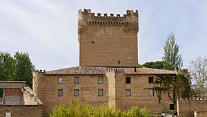 Castillo de Cuzcurrita de Rio Tiron - East