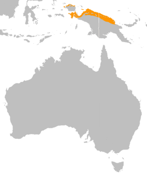 Casuarius unappendiculatus distribution map.png