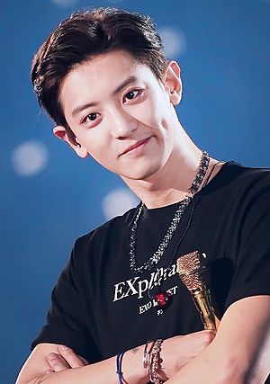 Chanyeol during the Exo Planet 5 – Exploration concert on December 2019.jpg