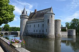 Chateau de Sully sur Loire DSC 0188