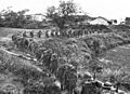 Chinese soldiers 1939